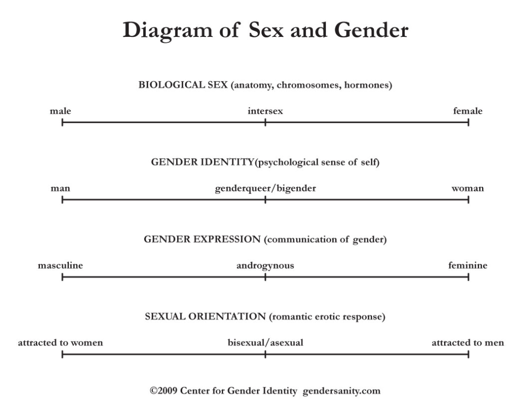 Diagram of Sex and Gender. Biological sex is on a scale from male, intersex, and female. Gender identity is on a scale of man, non-binary, and woman. Gender expression goes from masculine to feminine. Finally, sexual orientation goes from attracted to women, to bisexual, to attracted to men. 